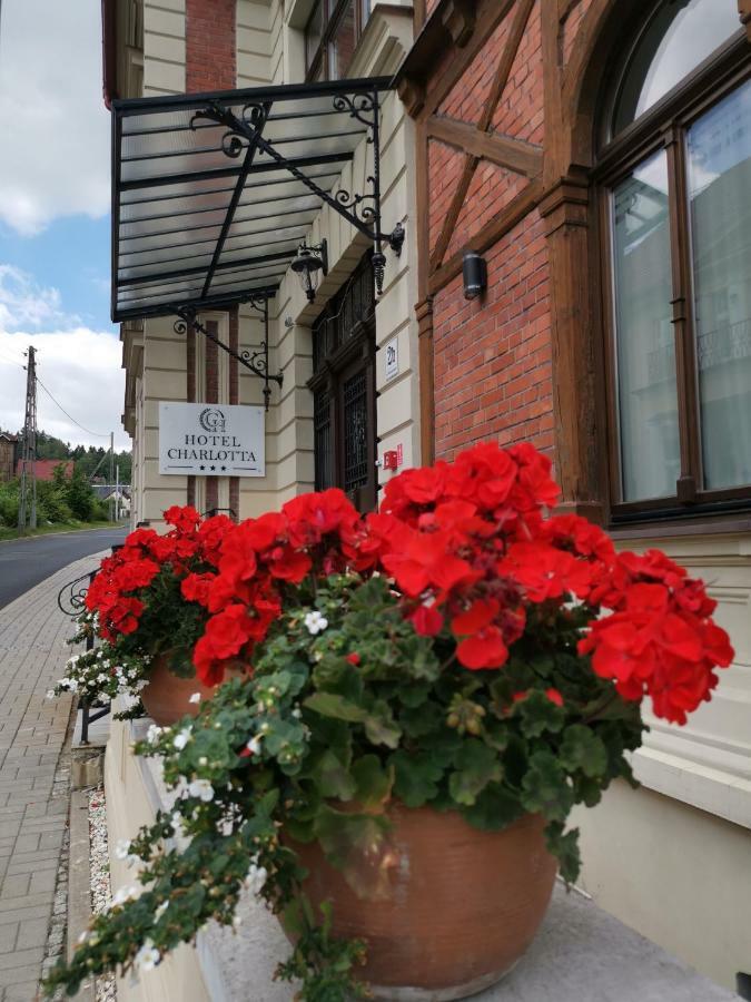 Charlotta Hotel Jedlina-Zdroj